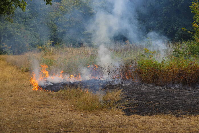 Flink stuk natuur vanwege brand verwoest