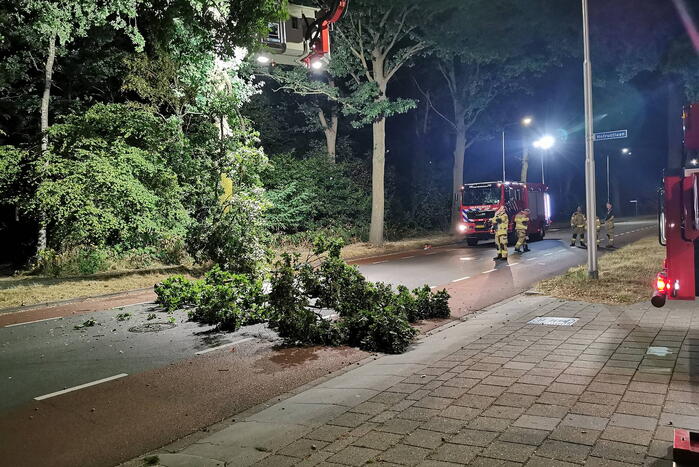 Brandweer verwijdert gevaarlijk hangende tak