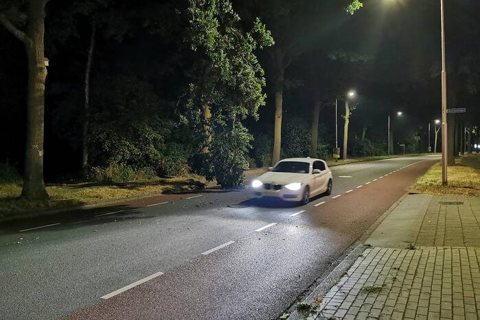 Brandweer verwijdert gevaarlijk hangende tak