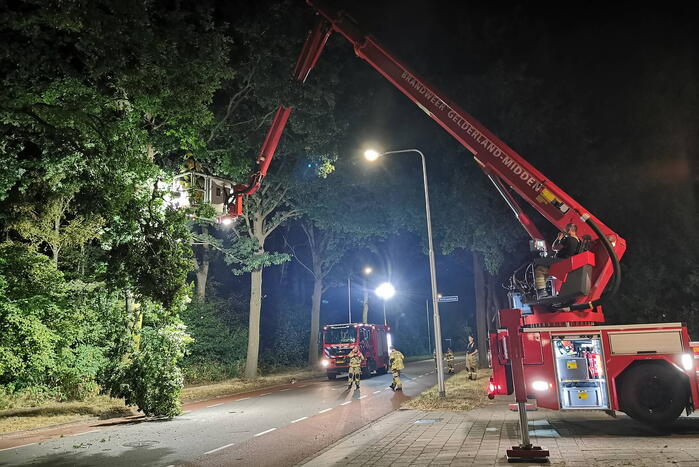 Brandweer verwijdert gevaarlijk hangende tak