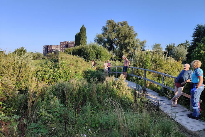 Man op scootmobiel rijdt vanaf brug het water in