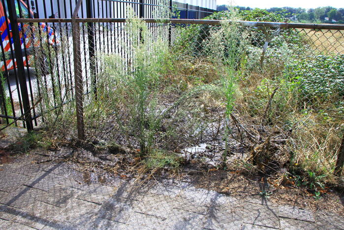 Beginnende bermbrand snel onder controle