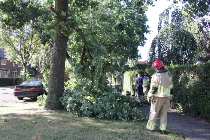 Forse takken uit boom gewaaid