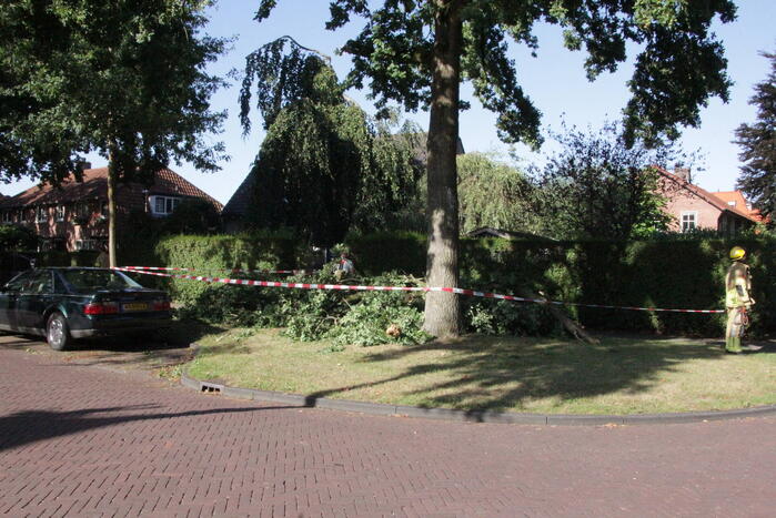 Forse takken uit boom gewaaid