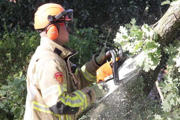 Forse takken uit boom gewaaid