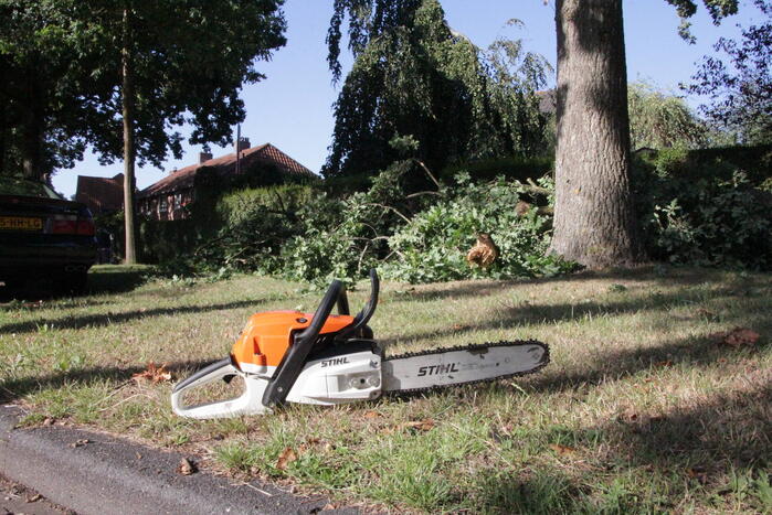 Forse takken uit boom gewaaid