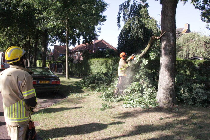 Forse takken uit boom gewaaid