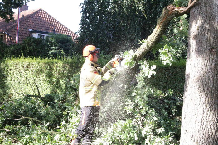 Forse takken uit boom gewaaid