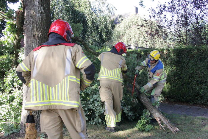 Forse takken uit boom gewaaid