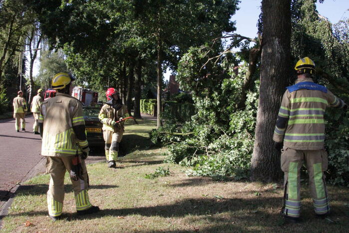 Forse takken uit boom gewaaid