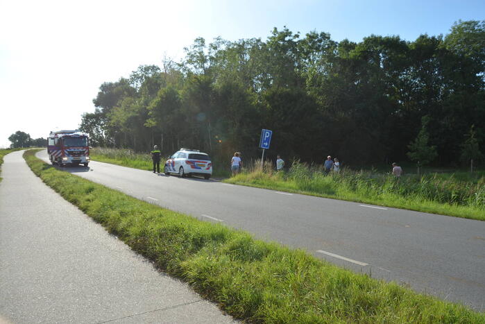 Auto belandt in rieten berm