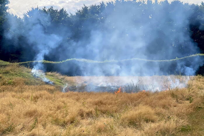 Flinke buitenbrand in Schothorsterpark