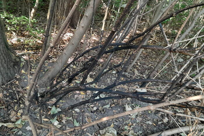 Brandweer blust brandende struiken