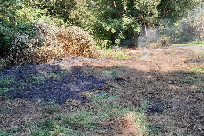Brandweer blust brandende struiken