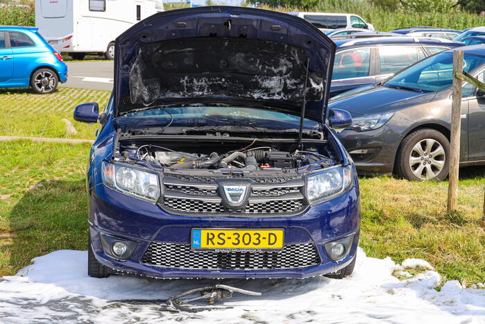 Gestolen auto vliegt in brand