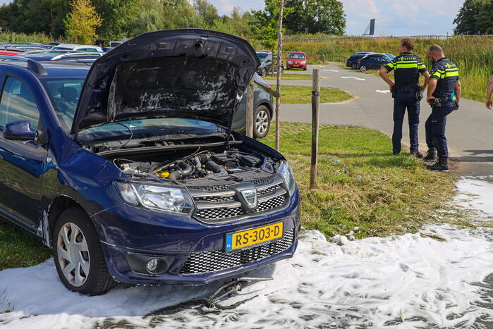 Gestolen auto vliegt in brand