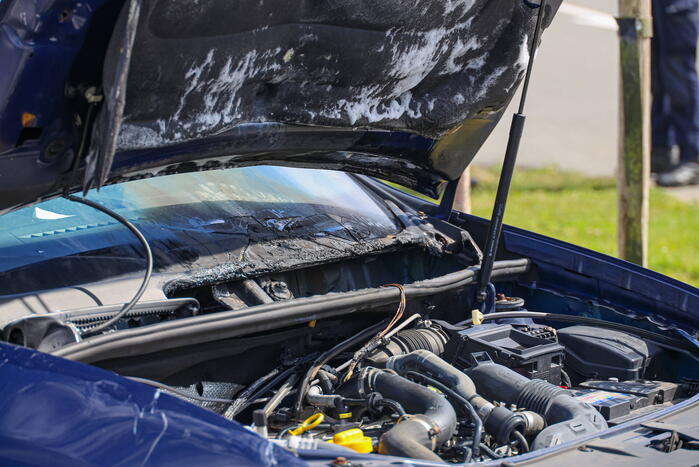 Gestolen auto vliegt in brand