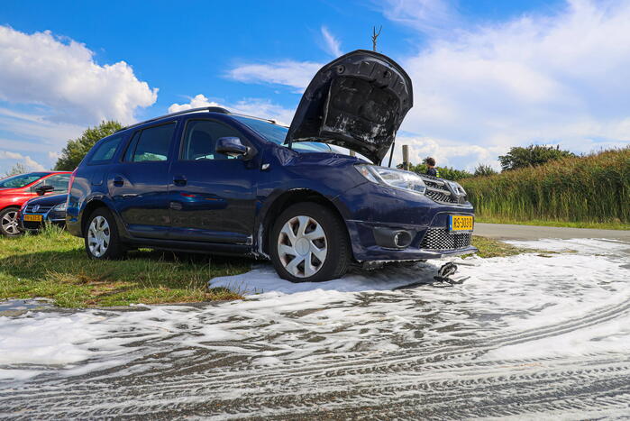 Gestolen auto vliegt in brand