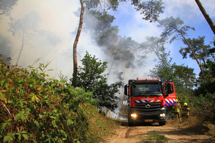 Flinke brand in bosgebied