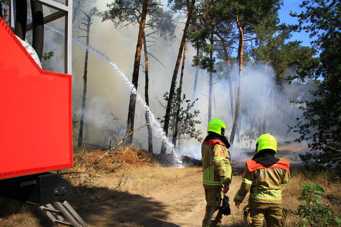 Flinke brand in bosgebied