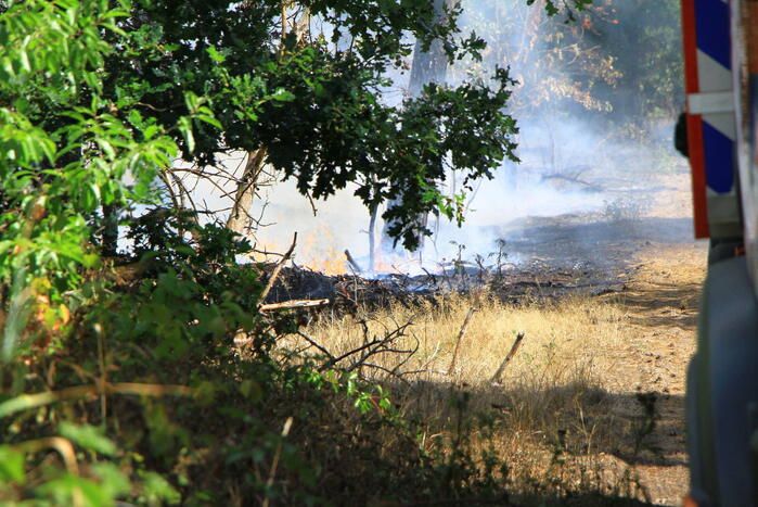 Flinke brand in bosgebied