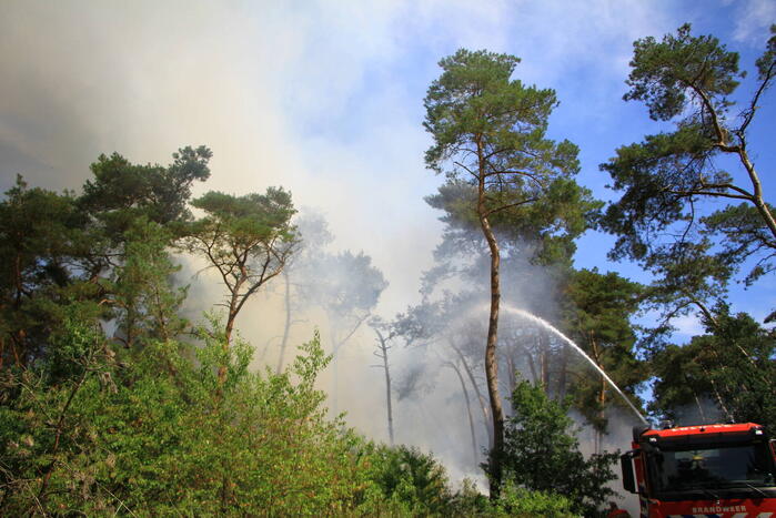 Flinke brand in bosgebied