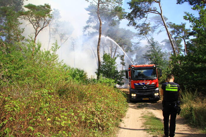 Flinke brand in bosgebied
