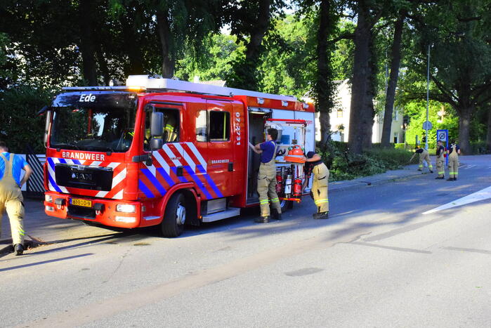 Grote tak breekt af en valt op weg