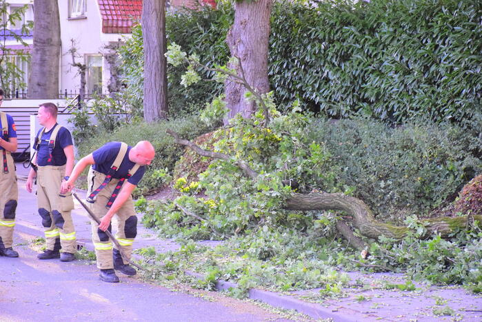 Grote tak breekt af en valt op weg