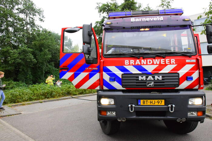 Brand in bosschage snel geblust