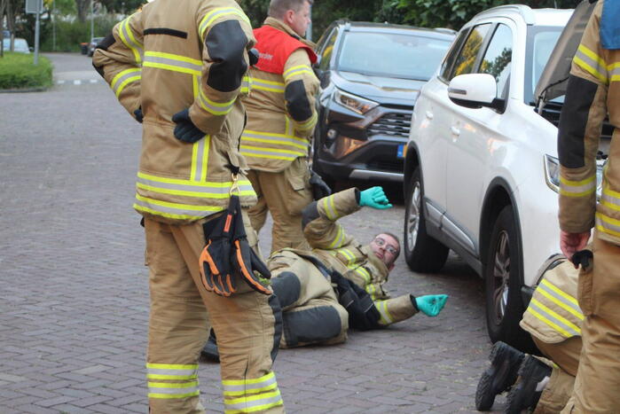 Kat vast in motorcompartiment van auto