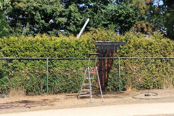 Brandende conifeer snel geblust