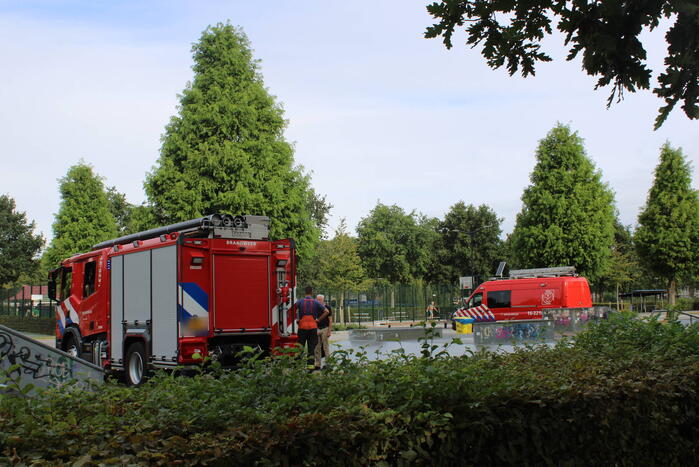 Gewonde zwaan laat zich lastig vangen