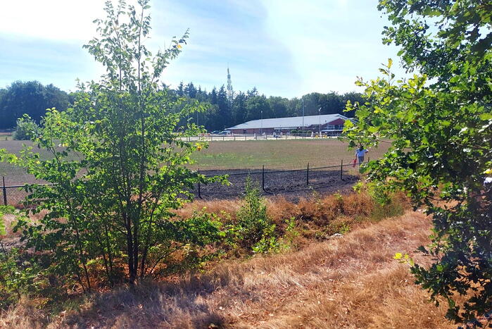 Stuk bosschage verwoest vanwege brand