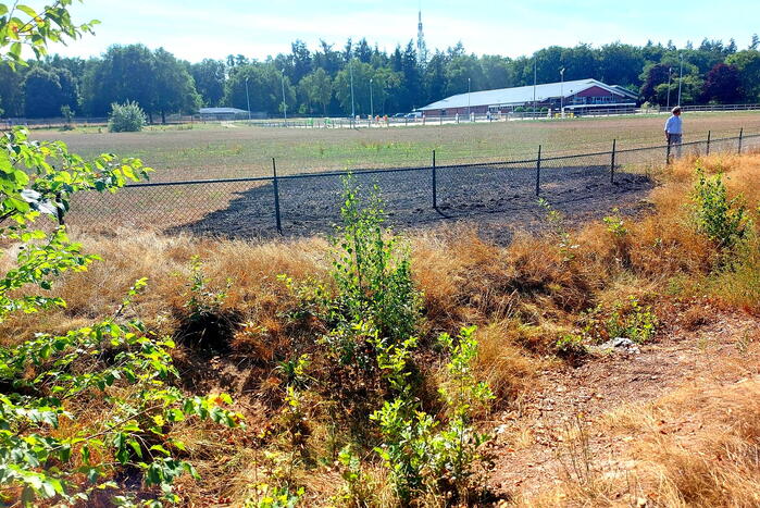 Stuk bosschage verwoest vanwege brand