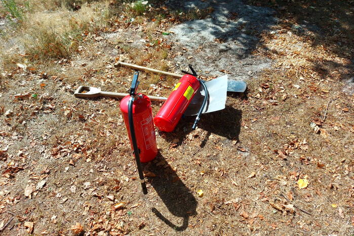 Stuk bosschage verwoest vanwege brand