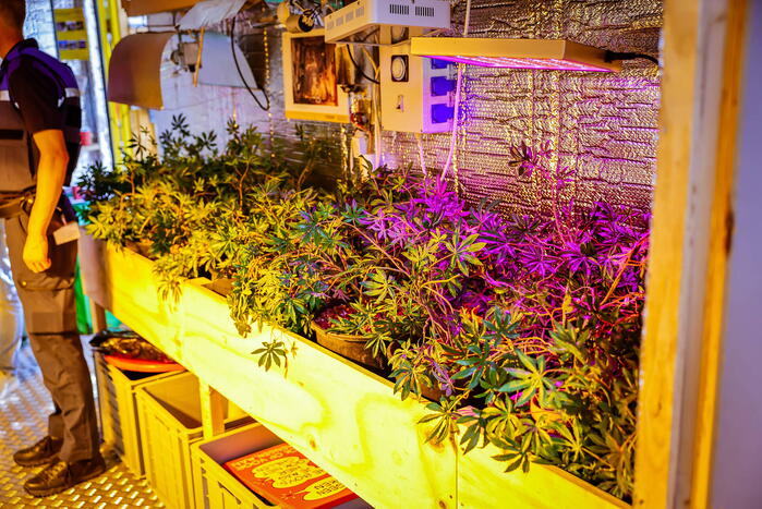 Hennepkwekerij nagebootst in container