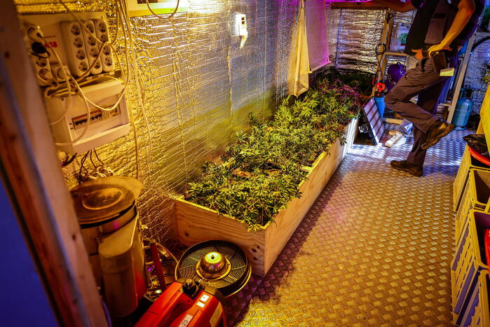Hennepkwekerij nagebootst in container