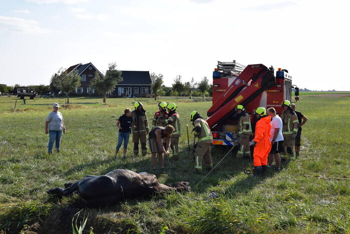 Meerdere voertuigen betrokken bij botsing