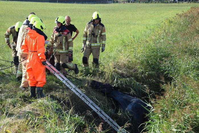 Meerdere voertuigen betrokken bij botsing