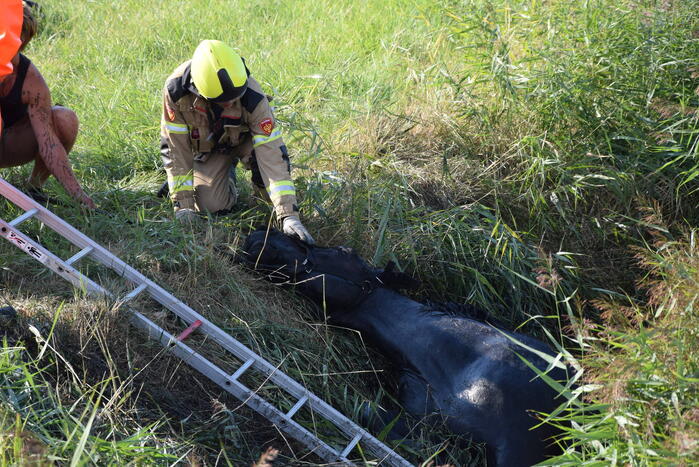 Meerdere voertuigen betrokken bij botsing