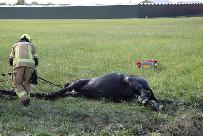 Meerdere voertuigen betrokken bij botsing