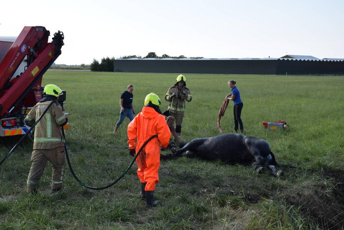 Meerdere voertuigen betrokken bij botsing
