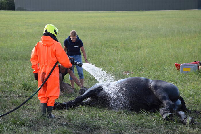 Meerdere voertuigen betrokken bij botsing