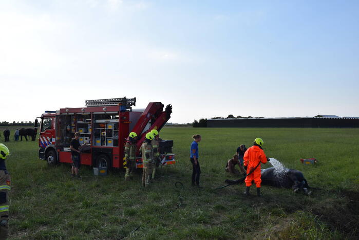 Meerdere voertuigen betrokken bij botsing