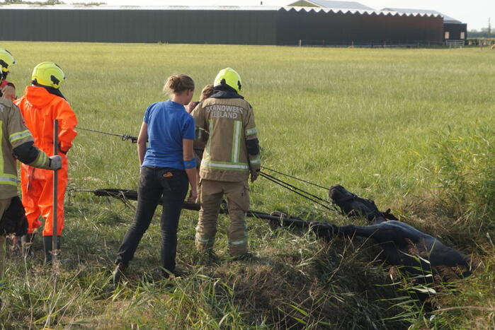 Meerdere voertuigen betrokken bij botsing