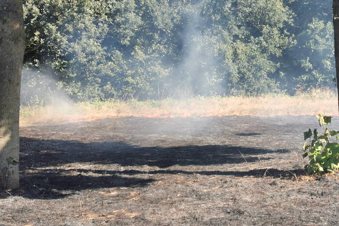 Flink stuk groen vanwege brand verwoest