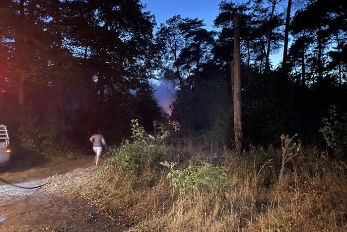 Brandweer blust kleine brand in bos