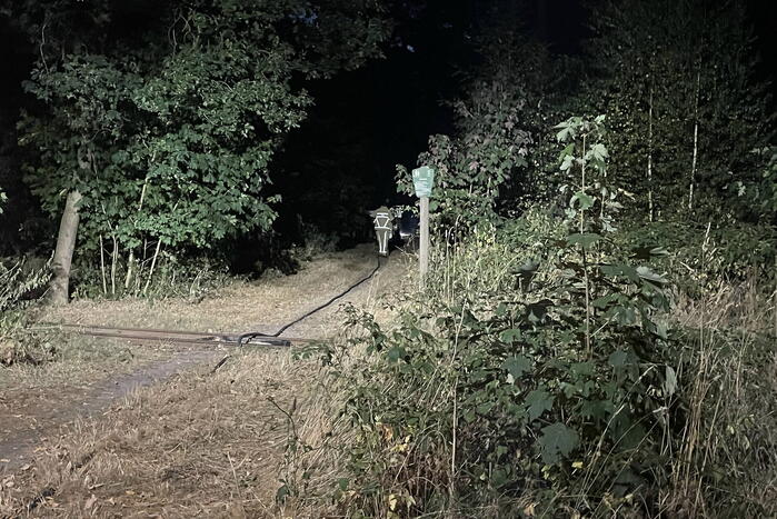 Brandweer blust kleine brand in bos