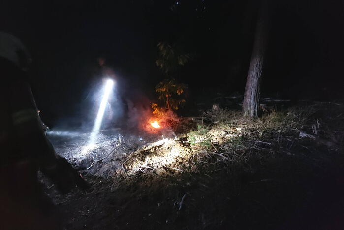 Brandweer blust kleine brand in bos